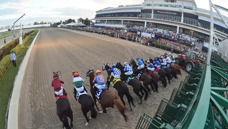 Pegasus World Cup, Breeders’ Cup, Challenge Series, Breeders’ Cup Classic, entry fee, starter, qualifier, qualifying, Gulfstream Park, Keeneland Race Course, 1/ST, Drew Fleming, Aidan Butler, horse racing, ABR