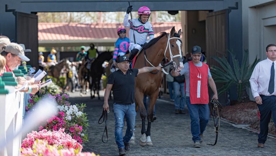 Value Hunting Approach to Betting the 2026 Fair Grounds Oaks