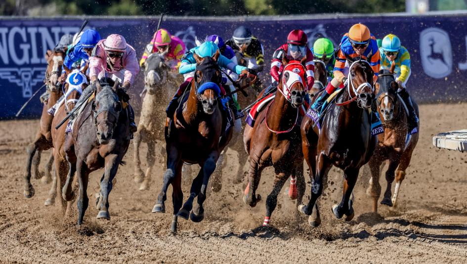 Ten Key Historical Trends to Know Before Betting the 2025 Breeders’ Cup Classic