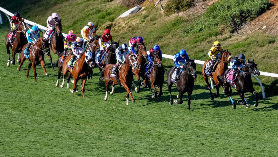 Breeders’ Cup, World Championships, Del Mar, John Gaines, founder, horse racing, breeding, California, Santa Anita, Ireland, Goldikova, Beholder, longshot, sire, Rebel’s Romance, Sovereignty, trainer, Richard Mandella, Brad Cox, ABR, Kentucky Derby