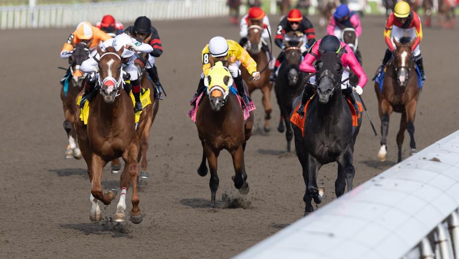 Where to Watch/Listen: Horse Racing Coverage Aug. 12-16
