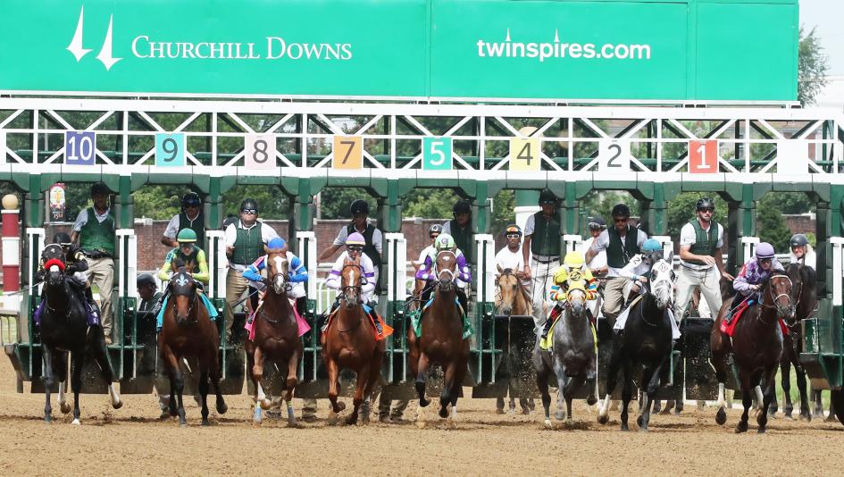 2026 Matt Winn Stakes at a Glance