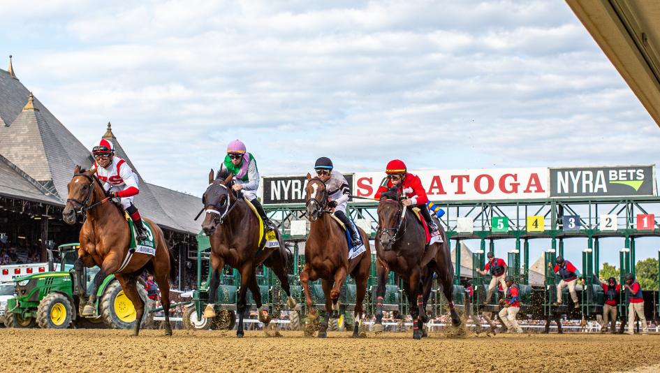 Personal Ensign Stakes, Saratoga, fillies, mares, Breeders’ Cup Distaff, Randomized, Dazzling Move, Raging Sea, Dorth Vader, Bernietakescharge, Leslie’s Rose, Thorpedo Anna, McPeek, Hernandez, Brown, Velazquez, Ortiz, Prat, horse racing, ABR