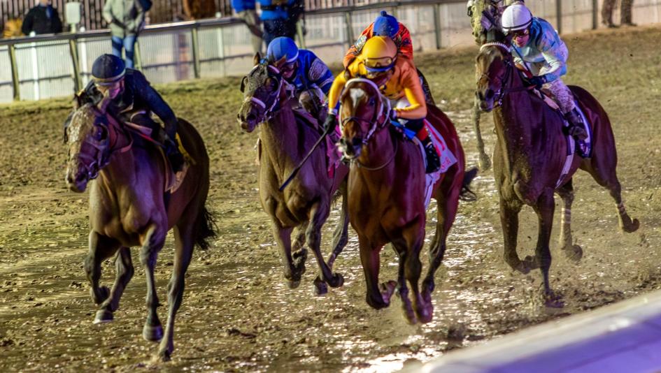 Risen Star Stakes, Fair Grounds, Kentucky Derby, Universe, Golden Tempo, Cheat Sheet, Carson Street, Paladin, Chip Honcho, Colt Forty Seven, Courting, Quality Mischief, trainer, jockey, horse racing, ABR