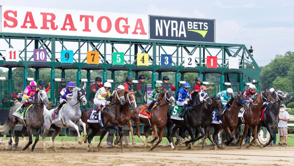 Whitney Stakes, Saratoga, Breeders’ Cup Classic, trifecta, betting, gambling, picks, ABR, Tordjman, Curry, Reed, Michaels, Fierceness, Sierra Leone, Post Time, White Abarrio, Highland Falls, trainer, jockey, Pletcher, Velazquez