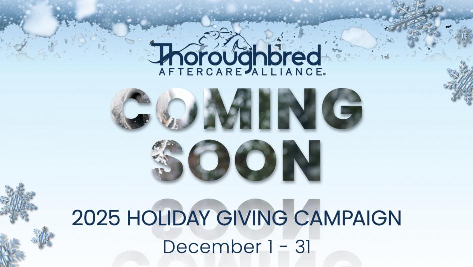 Thoroughbred Aftercare Alliance, TAA, holiday, giving, campaign, charity, horse racing, aftercare, OTTB, donations, sponsors, Terry Finley, Emily Dresen, equine, Thoroughbred, retired racehorse, ABR