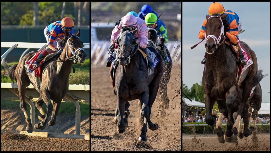 Breeders’ Cup Classic, Del Mar, Cheat Sheet, Sierra Leone, Fierceness, Forever Young, Mindframe, Journalism, Antiquarian, Baeza, Contrary Thinking, Nevada Beach, horse racing, ABR