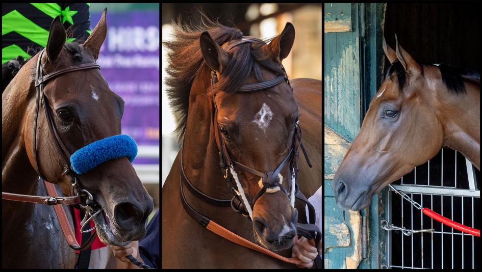 Breeders’ Cup Distaff, contenders, slideshow, Seismic Beauty, Nitrogen, Dorth Vader, Clicquot, Gin Gin, Scottish Lassie, Dry Powder, Gun Song, Leslie’s Rose, Regaled, Royal Spa, Scylla