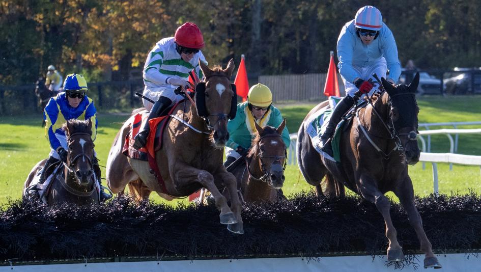 Expert Selections for the 2026 Far Hills Race Meet