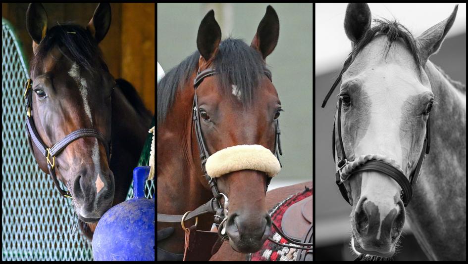 SLIDESHOW: Meet the Contenders for the 2025 Jim Dandy Stakes