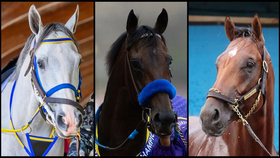 White Abarrio, Full Serrano, Tappan Street, Pegasus World Cup, Gulfstream Park, America's Best Racing, horse racing, ABR