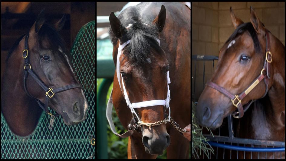 Breeders’ Cup Classic, slideshow, contenders, Sovereignty, Sierra Leone, Fierceness, Forever Young, Mindframe, Journalism, Antiquarian, Baeza, Highland Falls, Nevada Beach, Locked, Hit Show, horse racing, ABR