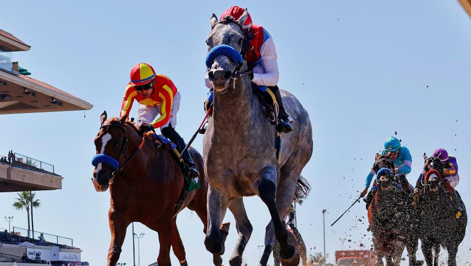 Del Mar, juveniles, 2-year-olds, rookie, rankings, Brant, Desert Gate, Del Mar Futurity, Bob Baffert, trainer, Kristofferson, Zedan, Boyd, Intrepido, pedigree, speed figure, Kentucky Derby, horse racing, ABR