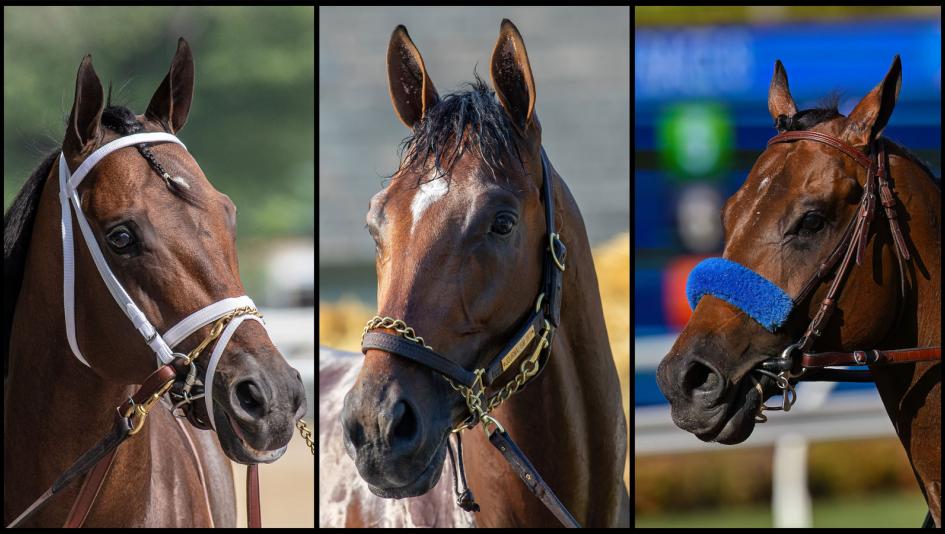Fierceness, Journalism, Nysos, Pacific Classic Stakes, Del Mar, Breeders' Cup Classic, America's Best Racing, horse racing, ABR