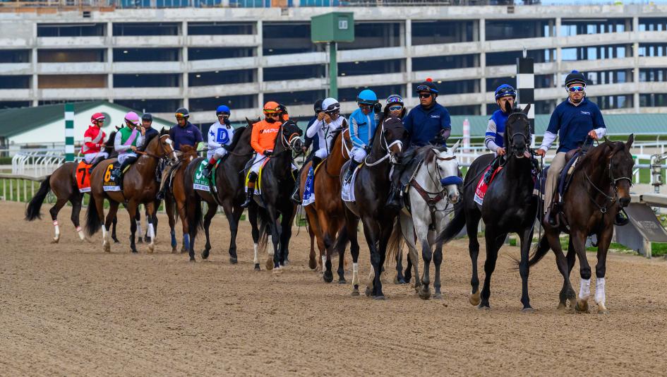 2026 Holy Bull Stakes Cheat Sheet