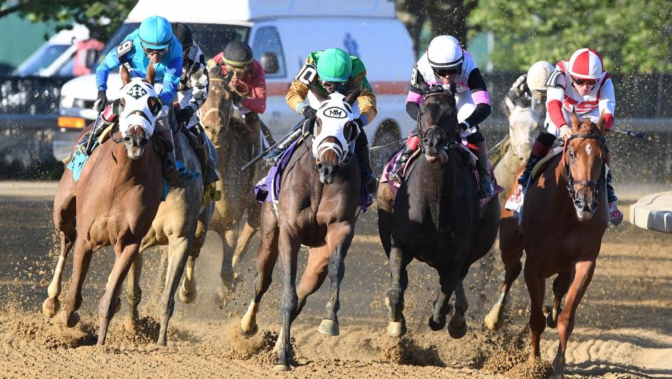 Ruffian Stakes, Belmont at the Big A, Aqueduct, Cassiar, Ultimate Authority, Eunomia, Dazzling Move, Inefficiency, Irish Maxima, Dry Powder, Chad Brown, Flavien Prat, Saffie Joseph, betting, gambling, horse racing, ABR
