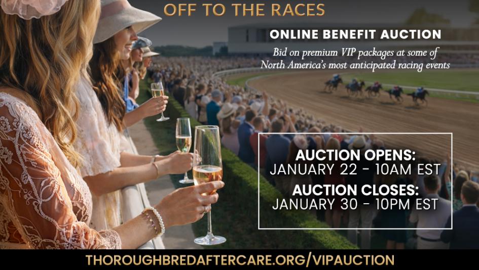 Thoroughbred Aftercare Alliance’s Off to the Races Online Benefit Auction Begins Thursday