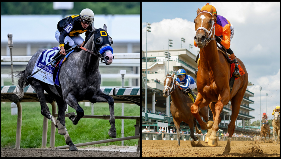 2026 Haskell Stakes Cheat Sheet
