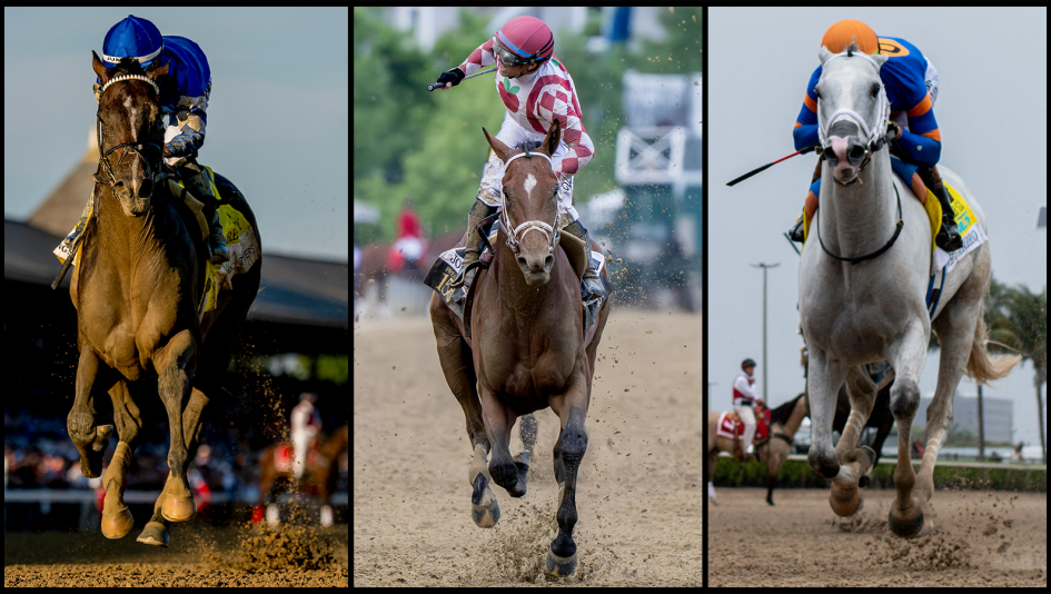 Sovereignty, Journalism, White Abarrio, Oaklawn Handicap, Oaklawn Park, America's Best Racing, horse racing, ABR
