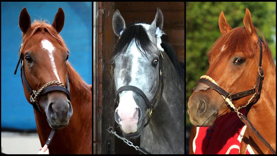 Further Ado, Napoleon Solo, The Puma, Haskell Stakes, Monmouth Park, horse racing, America's Best Racing, ABR