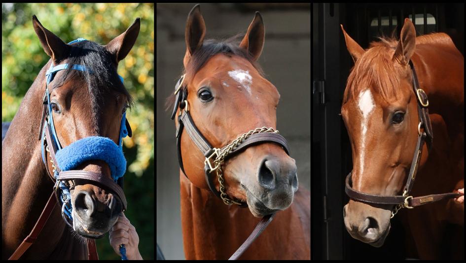 So Happy, Renegade, Further Ado, Triple Crown, Kentucky Derby, Churchill Downs, horse racing, America's Best Racing, ABR