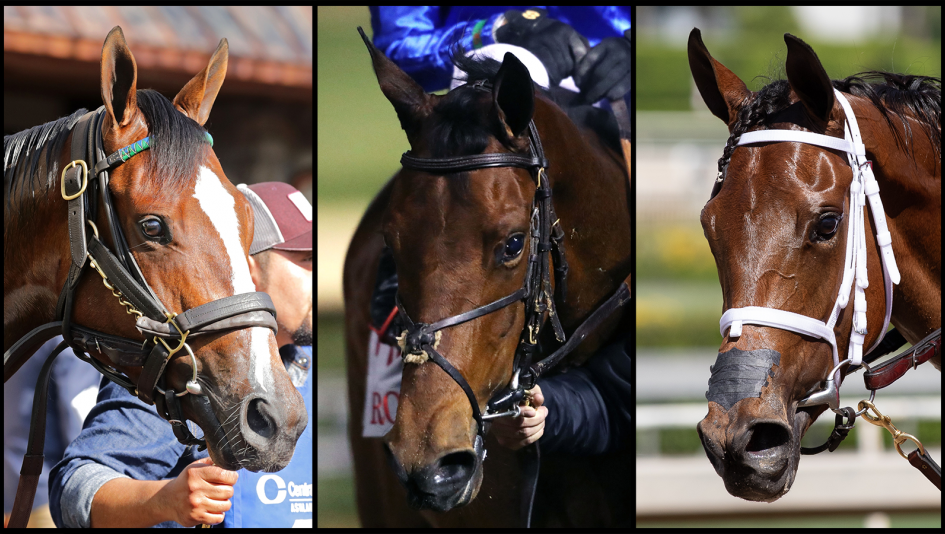 Percy’s Bar, Meaning, Bella Ballerina, Kentucky Oaks, Churchill Downs, horse racing, America's Best Racing, ABR