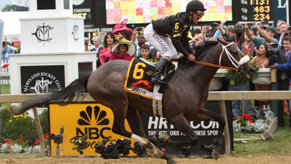 By the Numbers: The 2026 Preakness Stakes | America's Best Racing