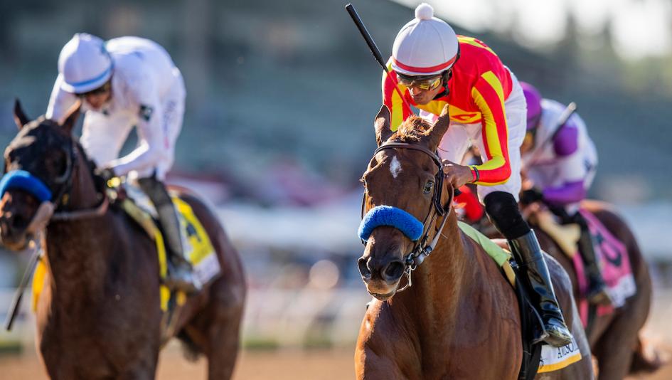 Defunded, Country Grammer, Bob Baffert, 2023 Hollywood Gold Cup, Santa Anita Park Defunded, Country Grammer, Bob Baffert, 2023 Hollywood Gold Cup, Santa Anita Park