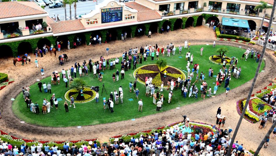 Horse Racing Questions You Were Embarrassed to Ask