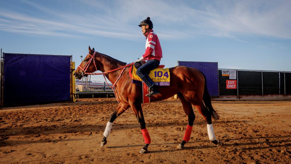 Forever Young, Ryusei Sakai, Yoshito Yahagi, Breeders' Cup Classic, Del Mar, America's Best Racing, horse racing, ABR 