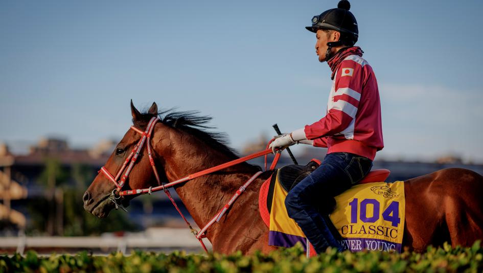 Forever Young, $7 million Longines Breeders’ Cup Classic, Kentucky Derby Presented by Woodford Reserve, Del Mar, Eclipse Sportswire Forever Young, $7 million Longines Breeders’ Cup Classic, Kentucky Derby Presented by Woodford Reserve, Del Mar, Eclipse Sportswire