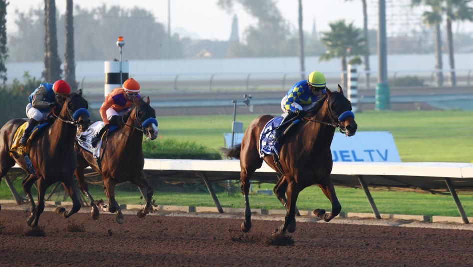 2026 Kentucky Derby Prospect Profiles: Los Alamitos Futurity Winner Litmus Test