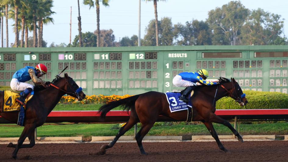 2025 Los Alamitos Futurity, Bob Baffert, Litmus Test, Road to the 2026 Kentucky Derby