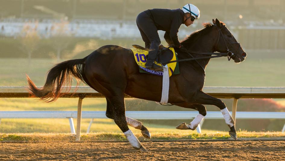 Forever Young, Sovereignty, Magnitude, Breeders' Cup Classic, Keeneland, horse racing, America's Best Racing, ABR