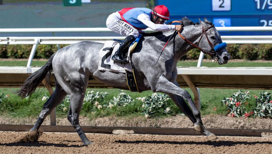 Brant Looks Like Seasoned Pro in Del Mar Futurity Victory in Second Start