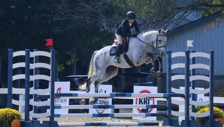 Thoroughbred Makeover, Horse Park, Kentucky, Diary, Imposing Ruler, Gray Magician, Lindsay Gilbert, competition, OTTB, ex-racehorse, retired racehorse, aftercare, training, hunter, jumper, ABR