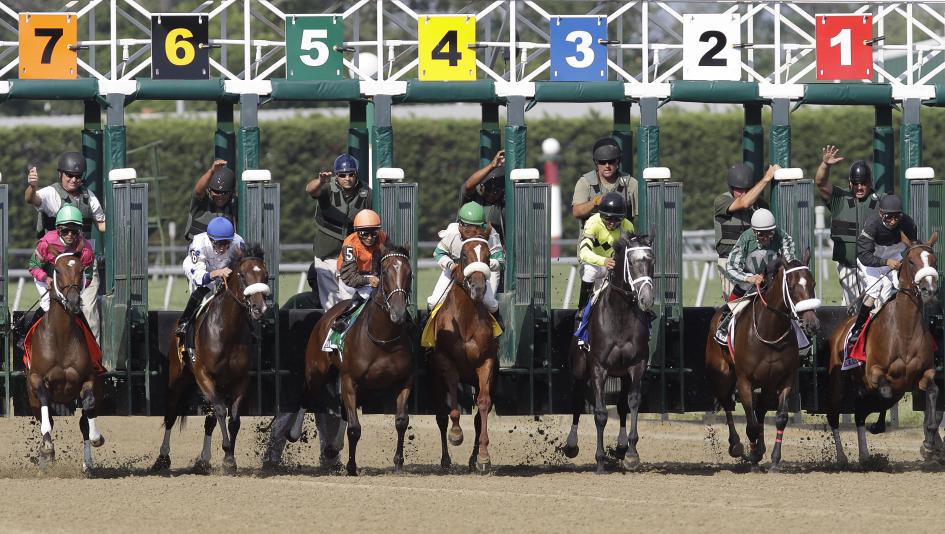 piassek s plays saturday stakes at delaware park america s best racing