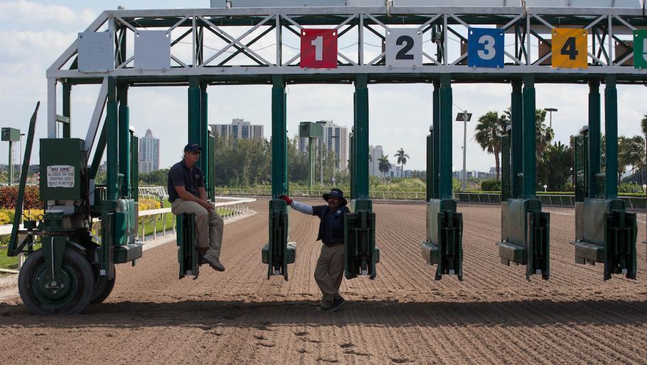 Noel Michaels handicapping, America's Best Racing, Gulfstream Park Noel Michaels handicapping, America's Best Racing, Gulfstream Park