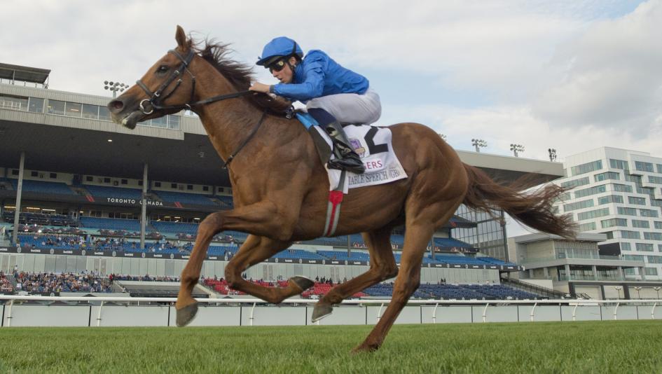 Rogers Woodbine Mile, Notable Speech, Breeders Cup Challenge Series Win and Youre In, Breeders Cup Mile