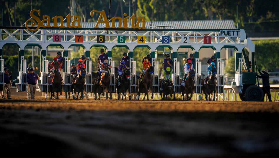 2026 American Pharoah Stakes at a Glance
