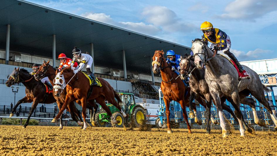 Noel’s Weekend Winners: Value Plays Saturday at the Big A