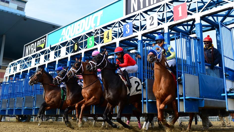 Where to Watch/Listen: Horse Racing Coverage Dec. 3-7