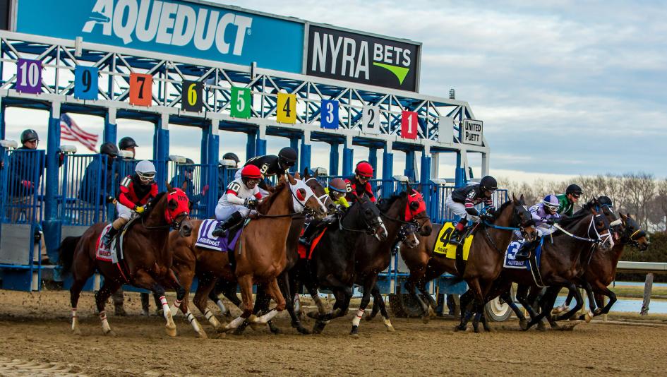 Jerome Stakes Aqueduct betting handicapping exacta trifecta Kentucky Derby prep Cyclone State Chad Summers Omaha Omaha Mansetti Studlydoright Jerome Stakes Aqueduct betting handicapping exacta trifecta Kentucky Derby prep Cyclone State Chad Summers Omaha Omaha Mansetti Studlydoright