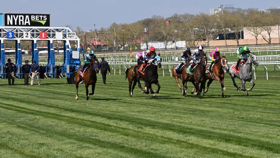 Noel’s Weekend Winners: Mid-November Marquee Stakes at Aqueduct