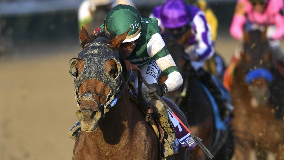 Accelerate won his sixth race in seven 2018 starts on Saturday when he captured the Breeders' Cup Classic.