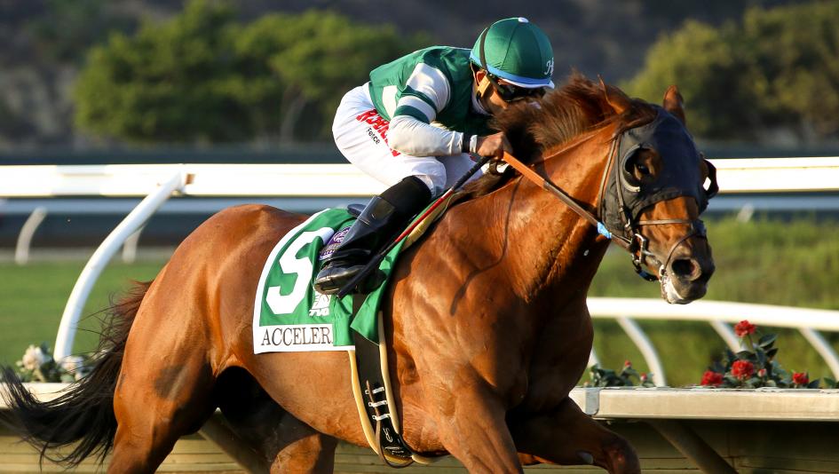 Accelerate remains the top-ranked Thoroughbred in the country heading into the final round of Breeders' Cup prep races.