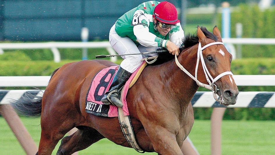 Afleet Alex: Amazing Athlete Earned Improbable Preakness Win