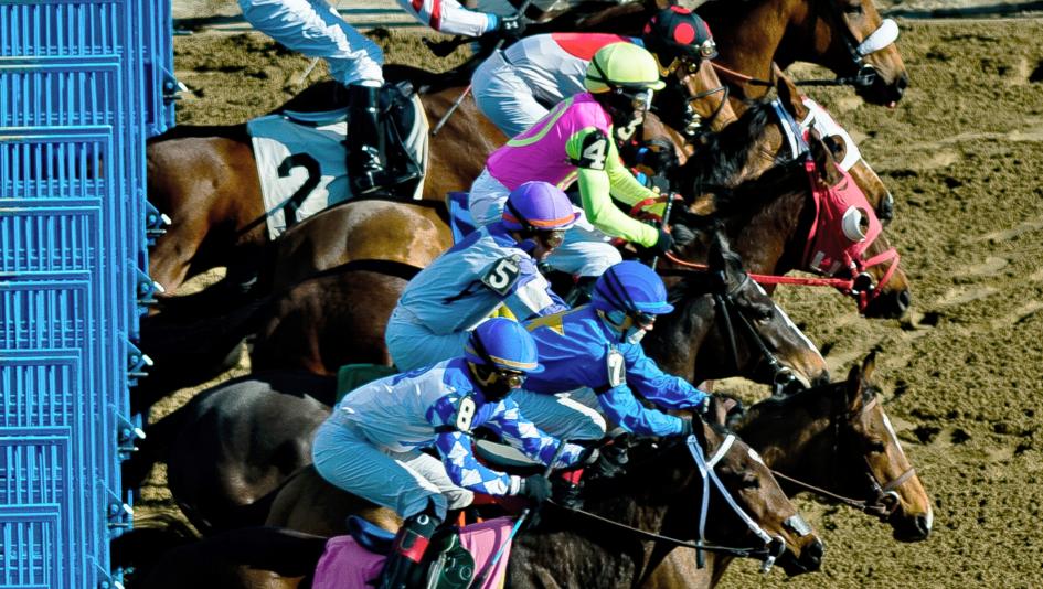 Best Bets: Stakes Plays at Aqueduct | America's Best Racing