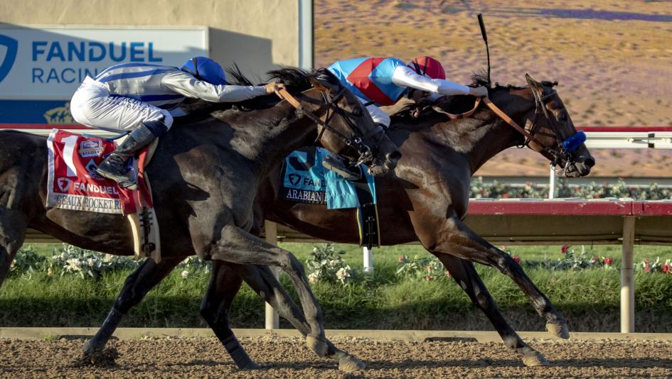 Arabian Knight and Bright Future Break Into Breeders' Cup Classic ...