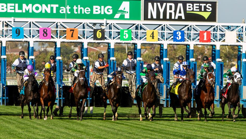 Pilgrim Stakes, Aqueduct, Belmont at the Big A, Heeere’s Johnny, Miguel Clement, Bottas, Noble Dynasty, Let’s Be Frank, betting, exacta, handicapping, horse racing, ABR